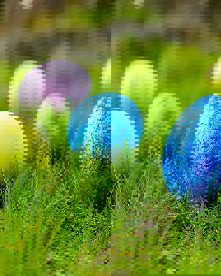 Miro Vrlik Jdmvviyhbve Unsplash