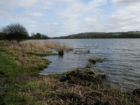 Castle Semple Loch Geograph.Org.Uk 6413148